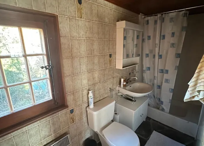 A En Bordure De Foret * Savièse