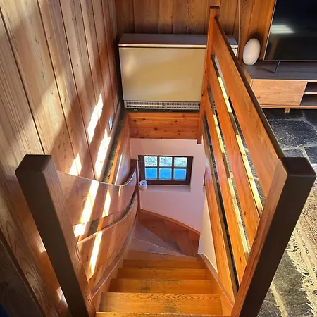 A En Bordure De Foret * Saviese