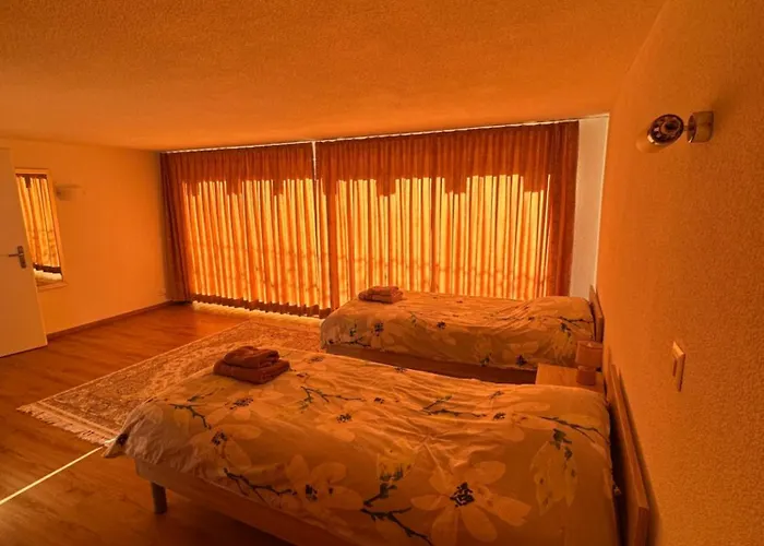 Chalet A En Bordure De Foret Saviese