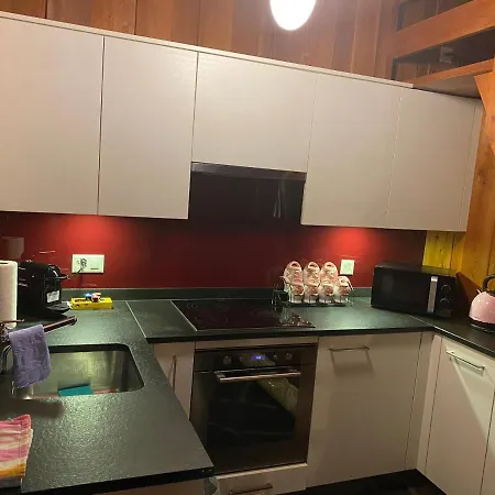 A En Bordure De Foret Dağ evi Savièse